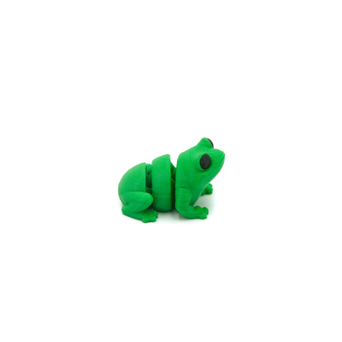 Żaba Minis
