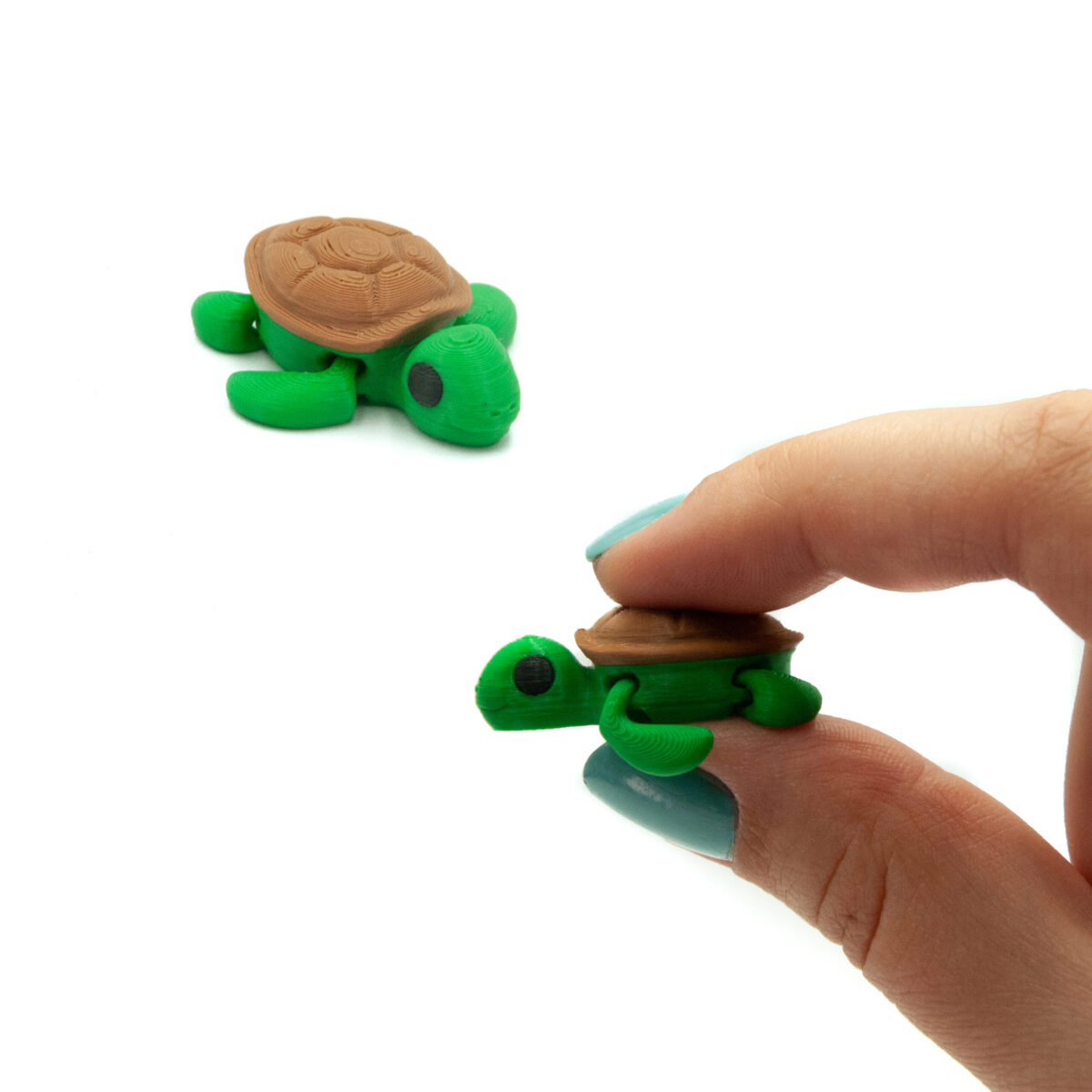 Żółwik Minis