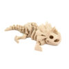 Triceratops Szkielet