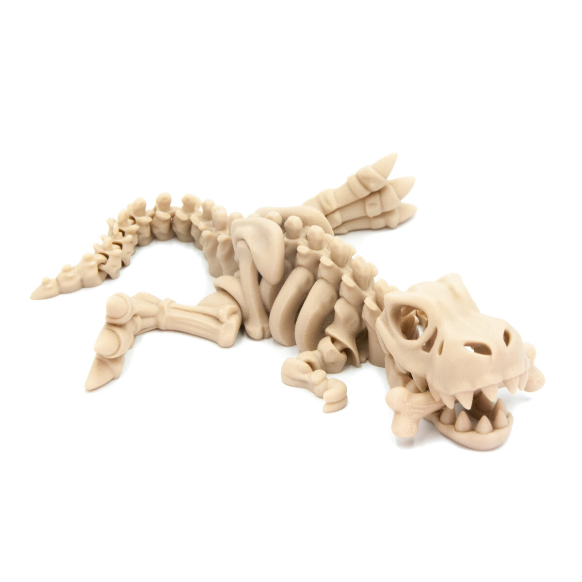T-Rex Szkielet