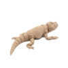 Agama Brodata