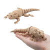 Agama Brodata