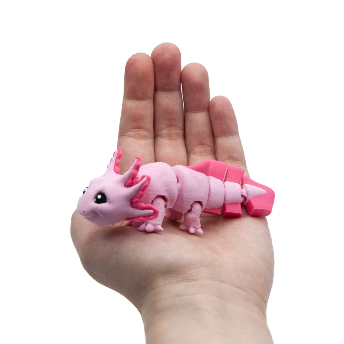 Baby Axolotl