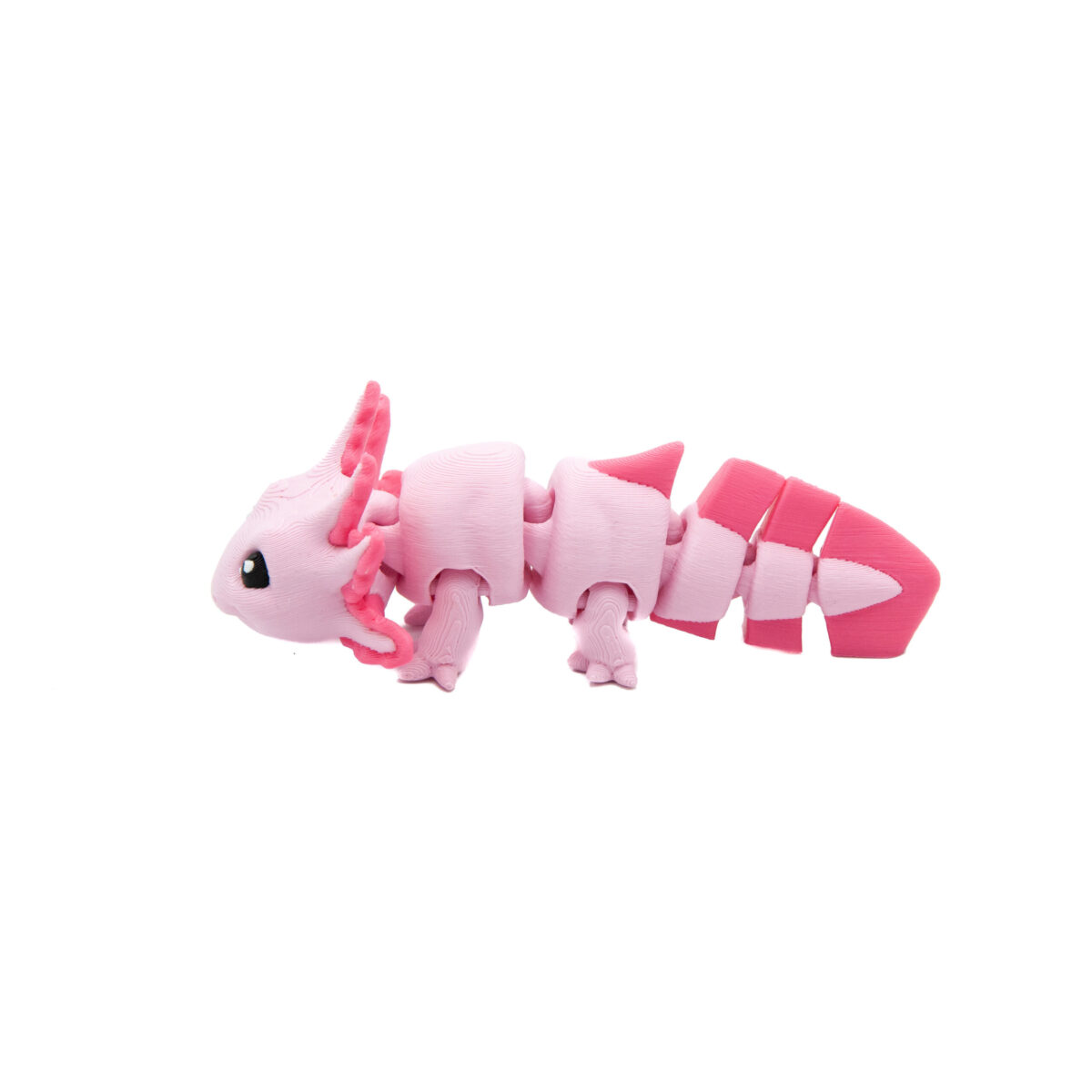 Baby Axolotl