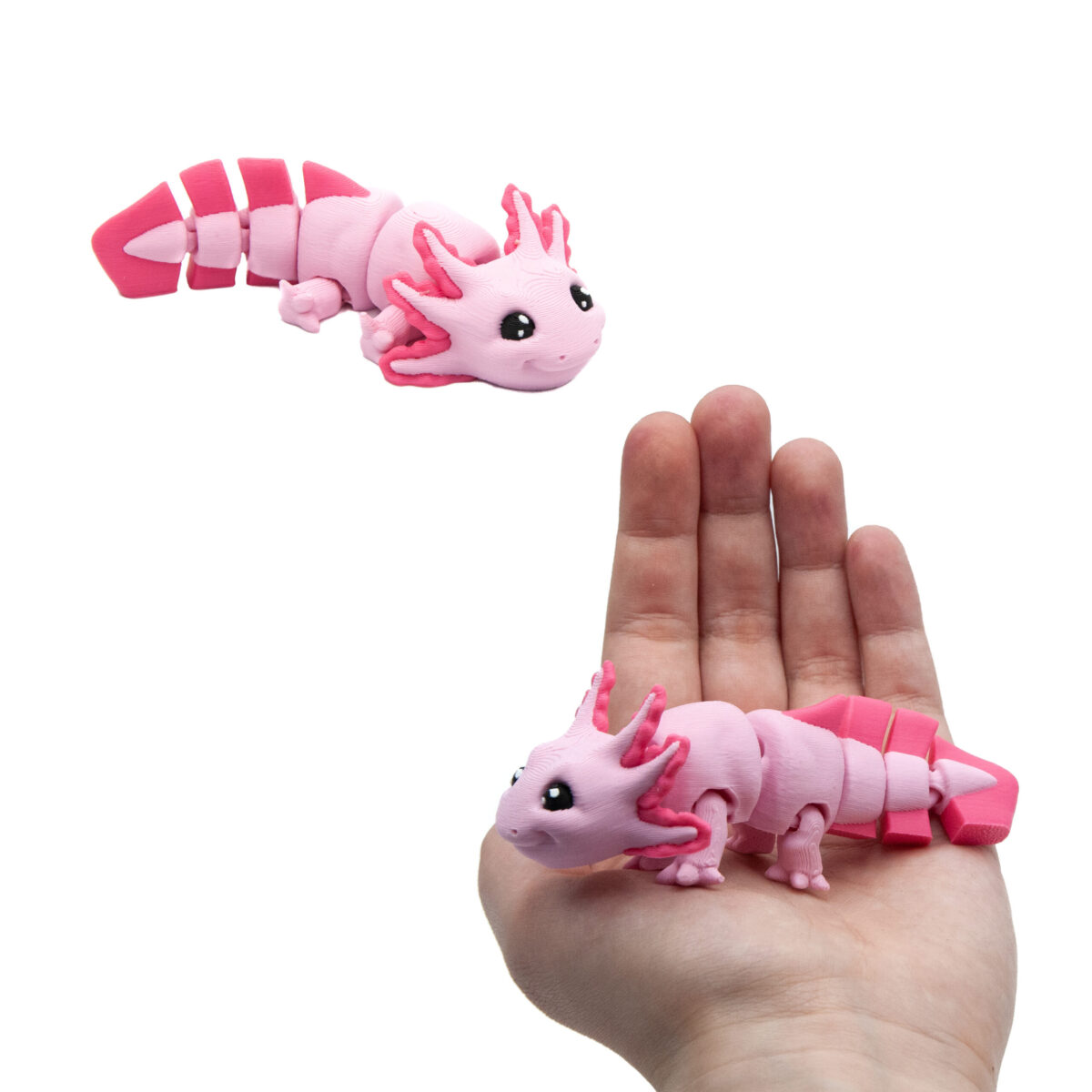Baby Axolotl