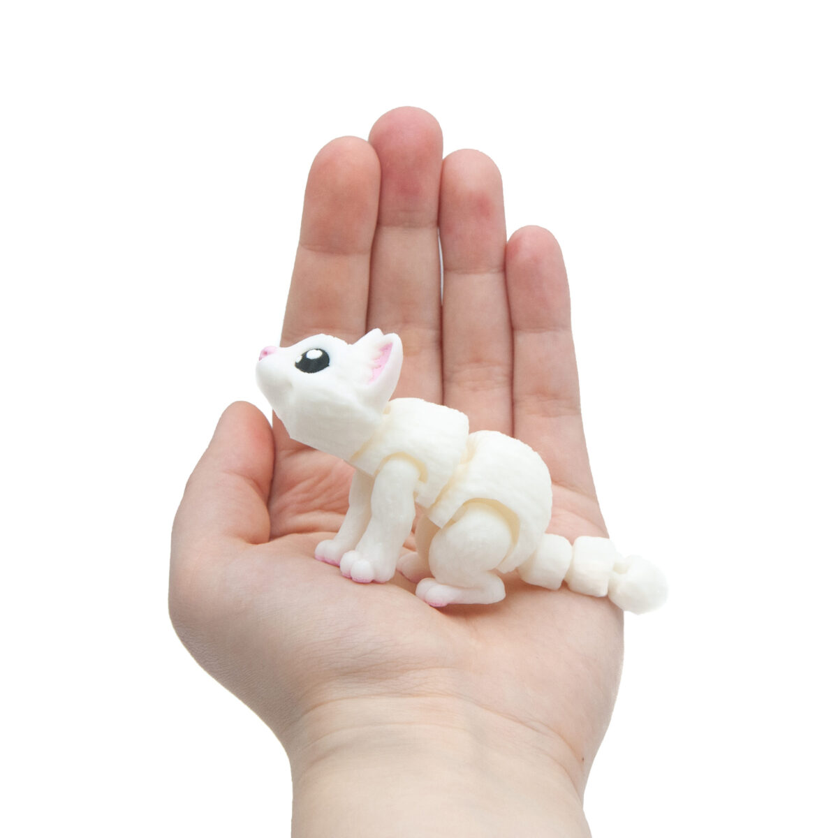 Baby Biały Kot