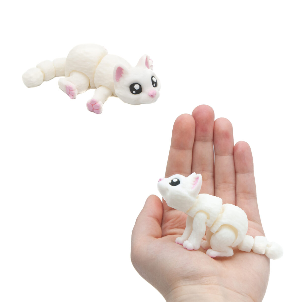 Baby Biały Kot