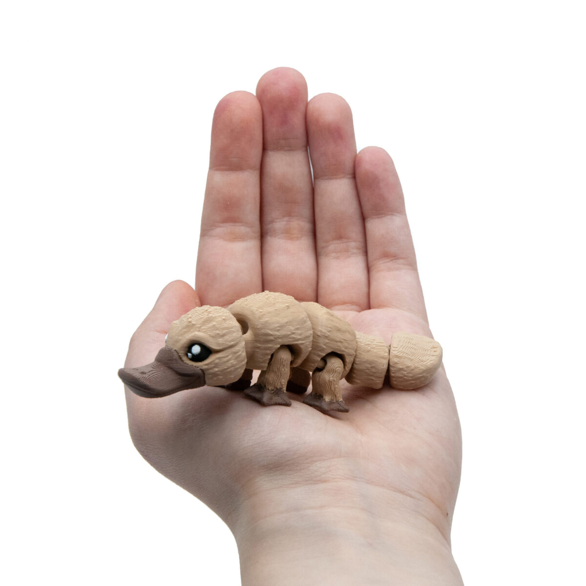 Baby Dziobak