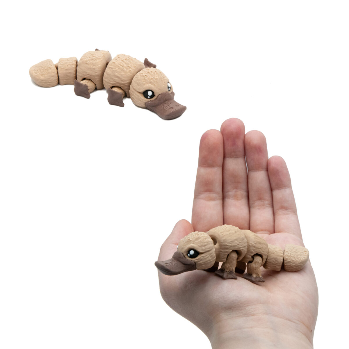 Baby Dziobak