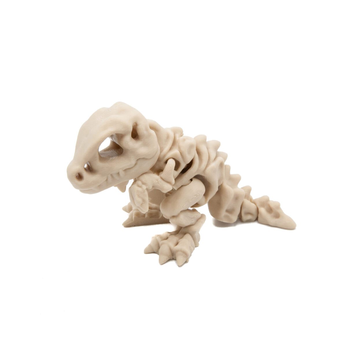 Baby T-Rex Szkielet