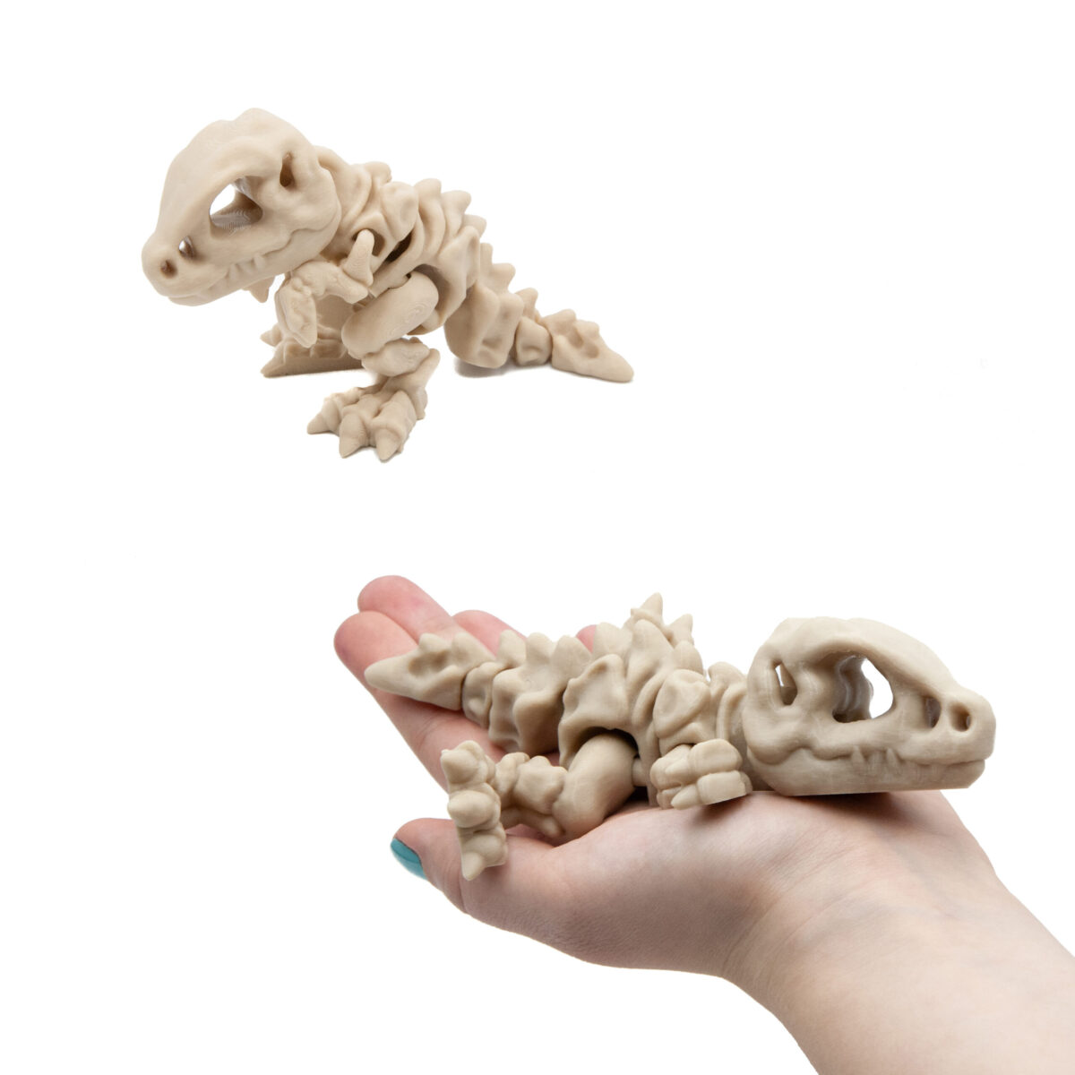 Baby T-Rex Szkielet