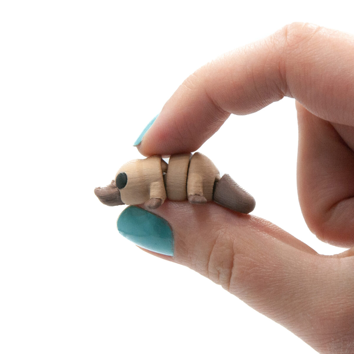 Dziobak Minis