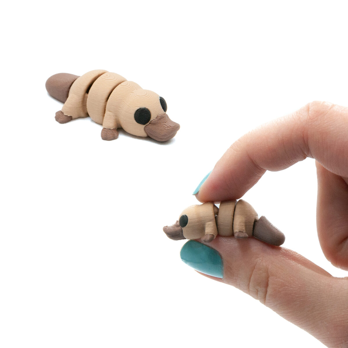 Dziobak Minis