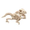 Raptor Szkielet