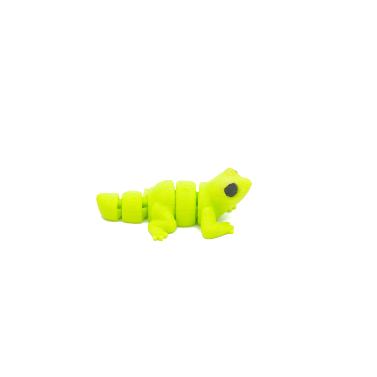 Jaszczurka Minis