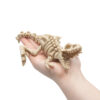 T-Rex 2 Szkielet Dinozaur