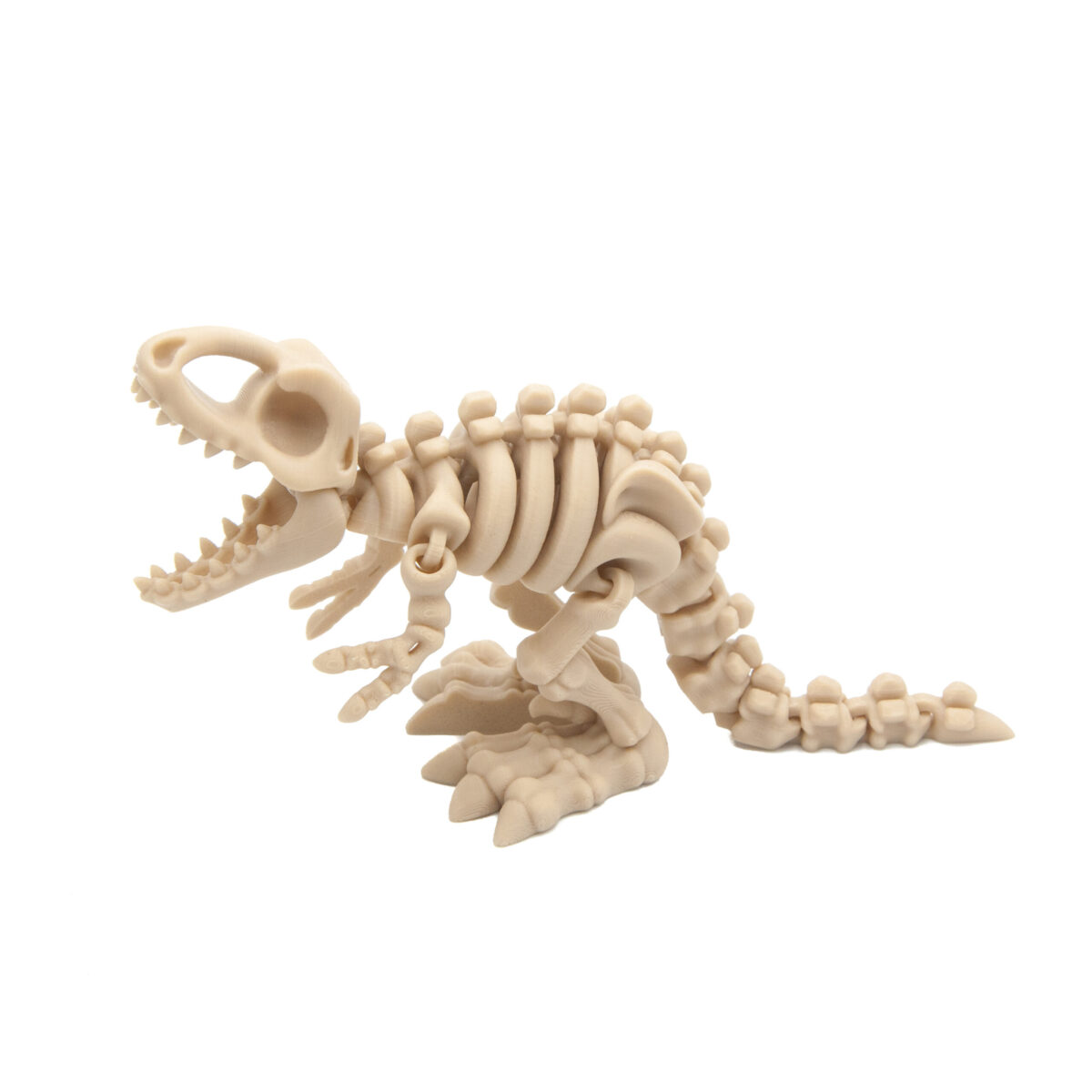 T-Rex 2 Szkielet