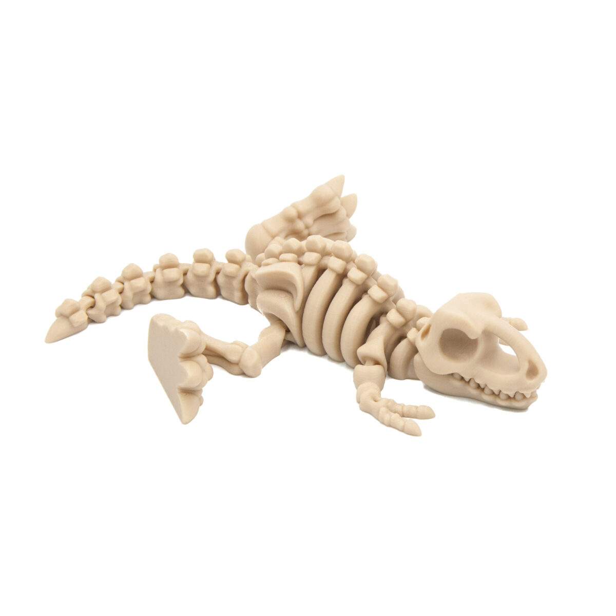 T-Rex 2 Szkielet Dinozaur