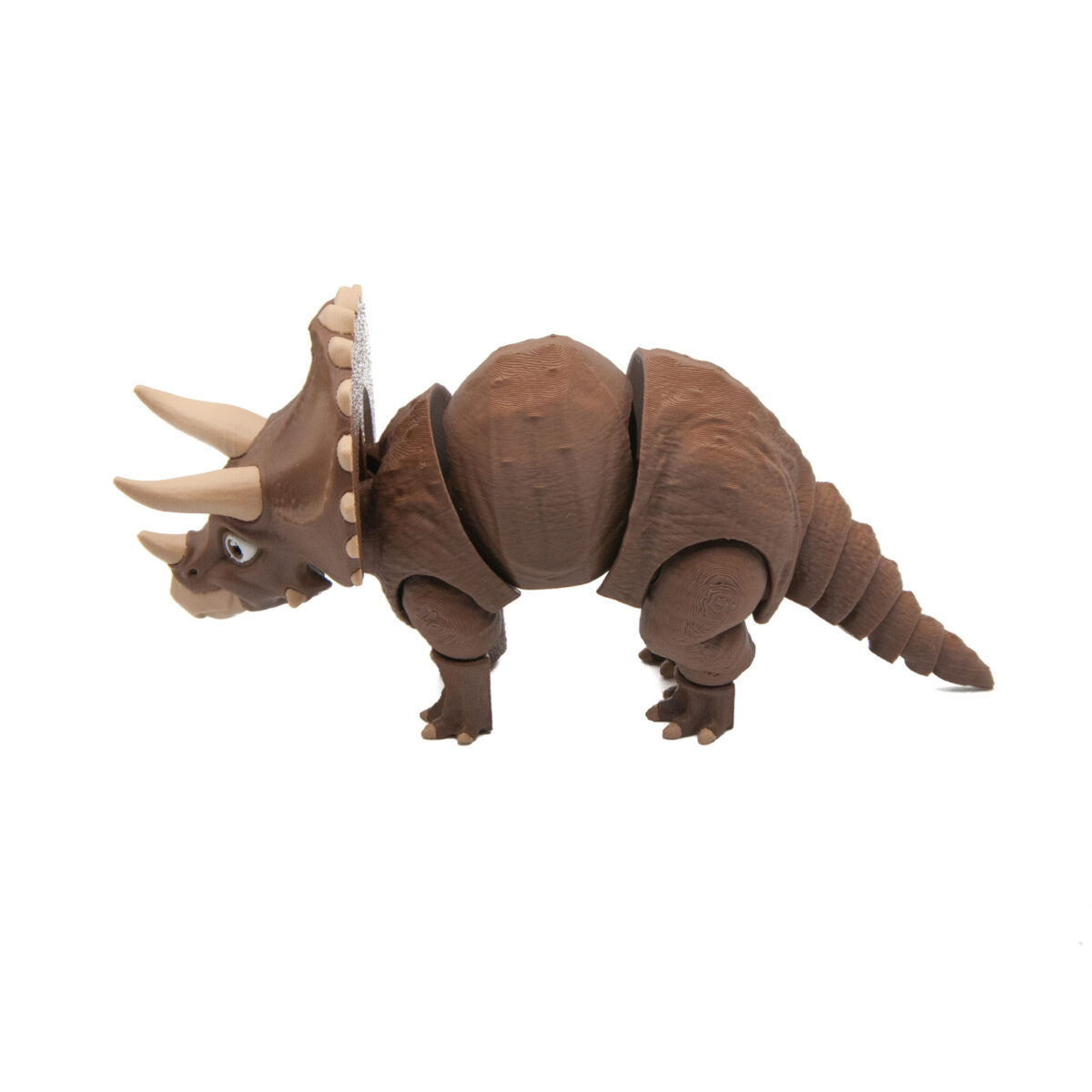 Triceratops