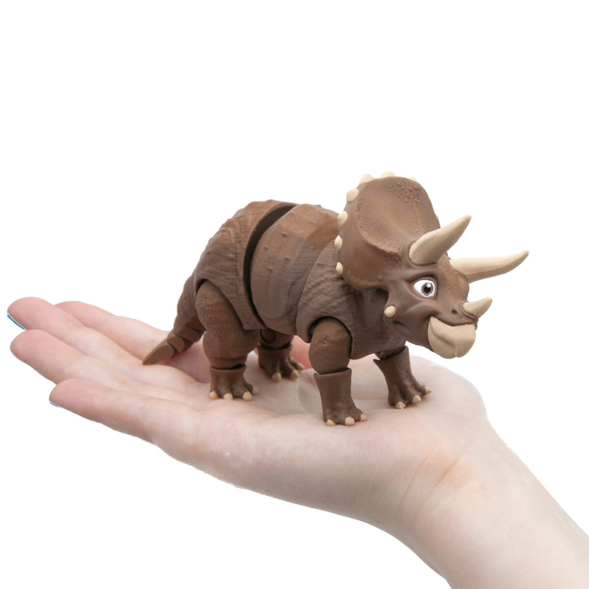Triceratops