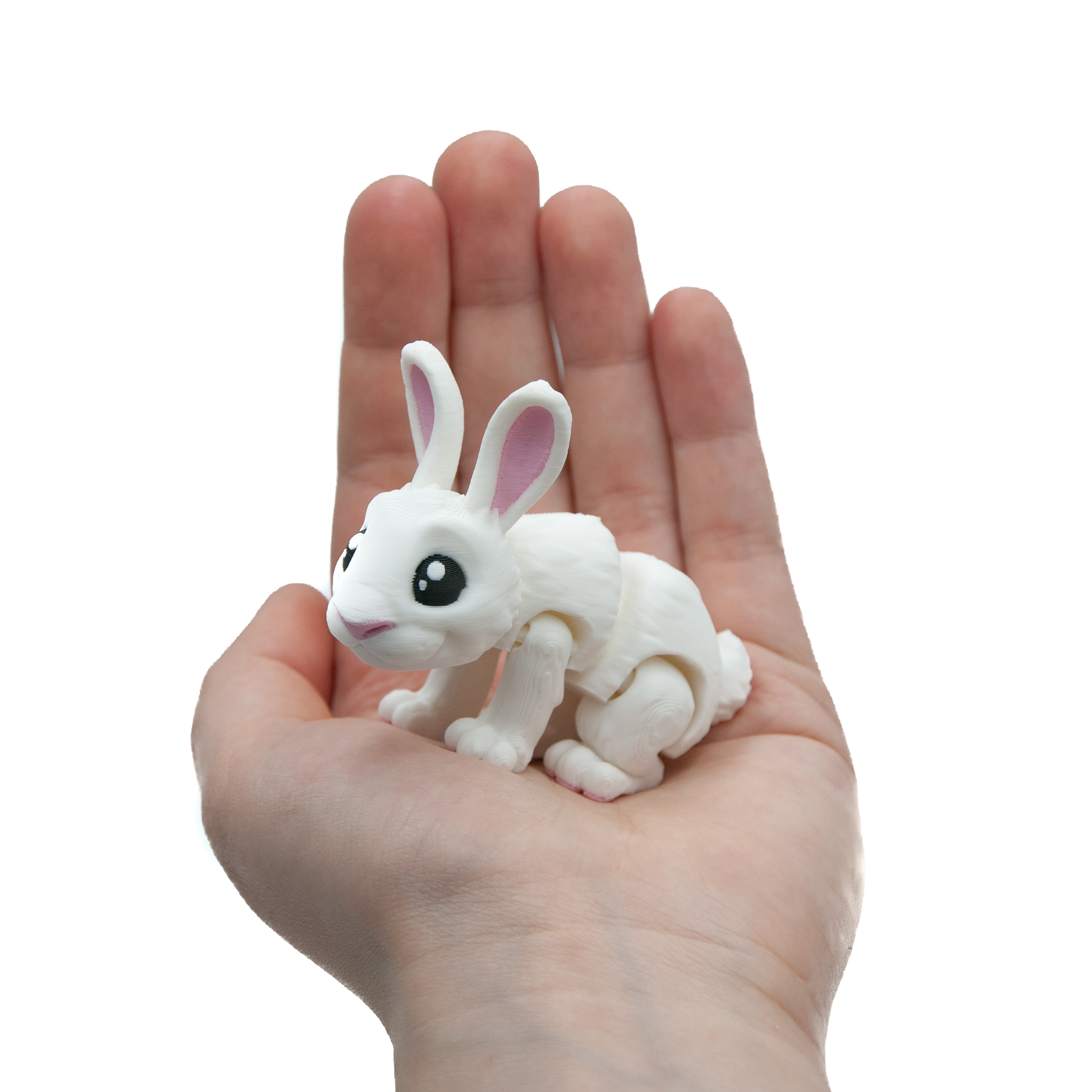 Baby Biały Królik