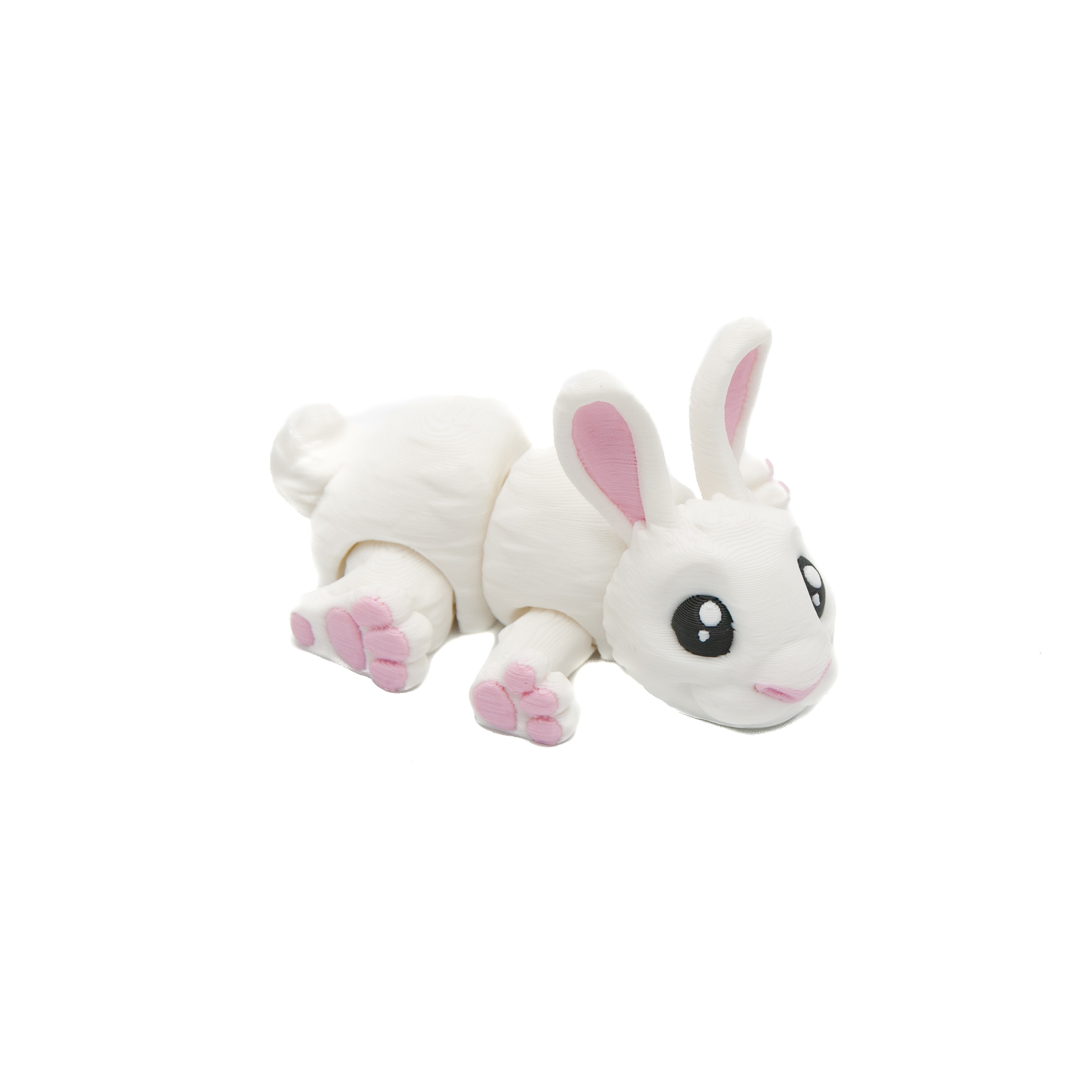 Baby Biały Królik