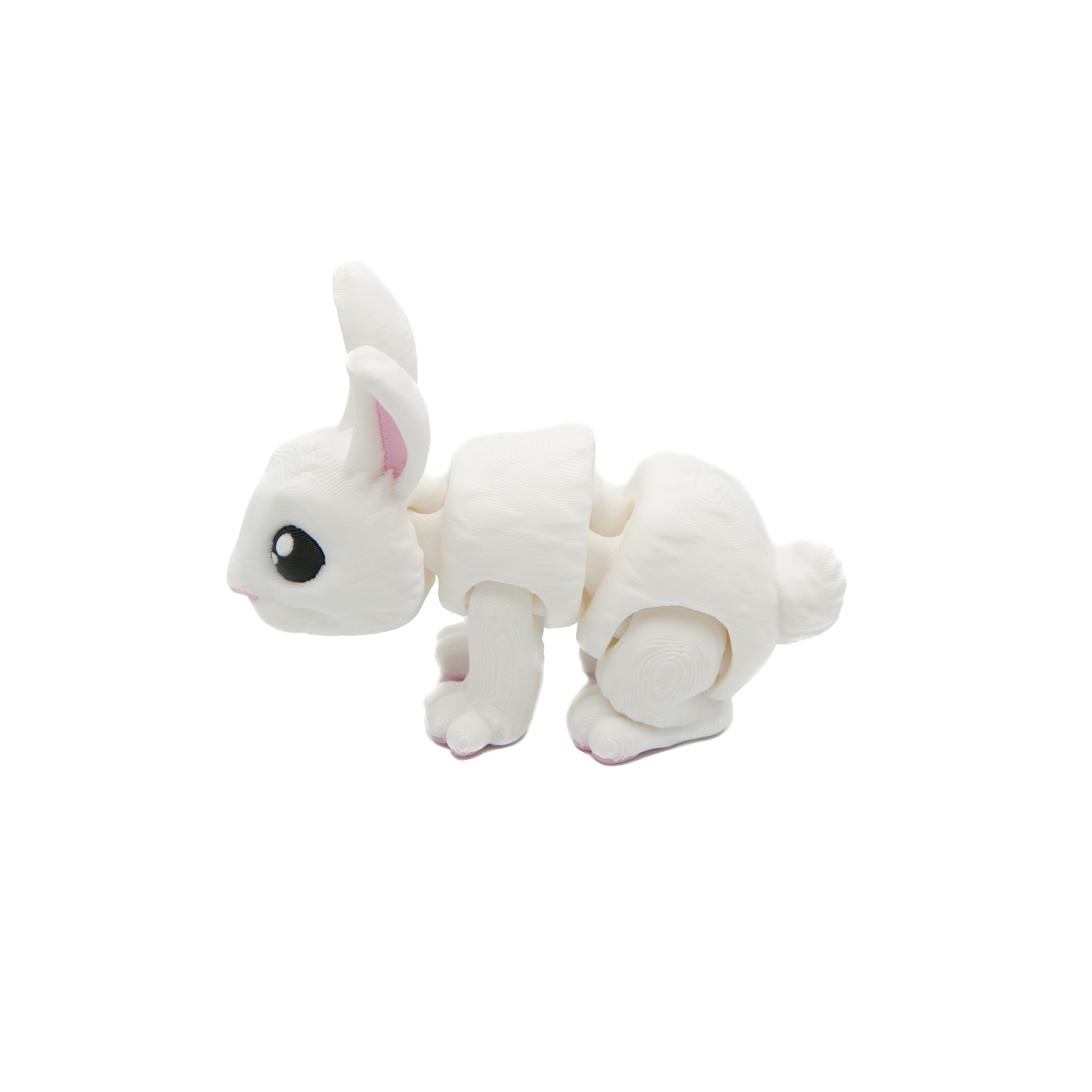 Baby Biały Królik