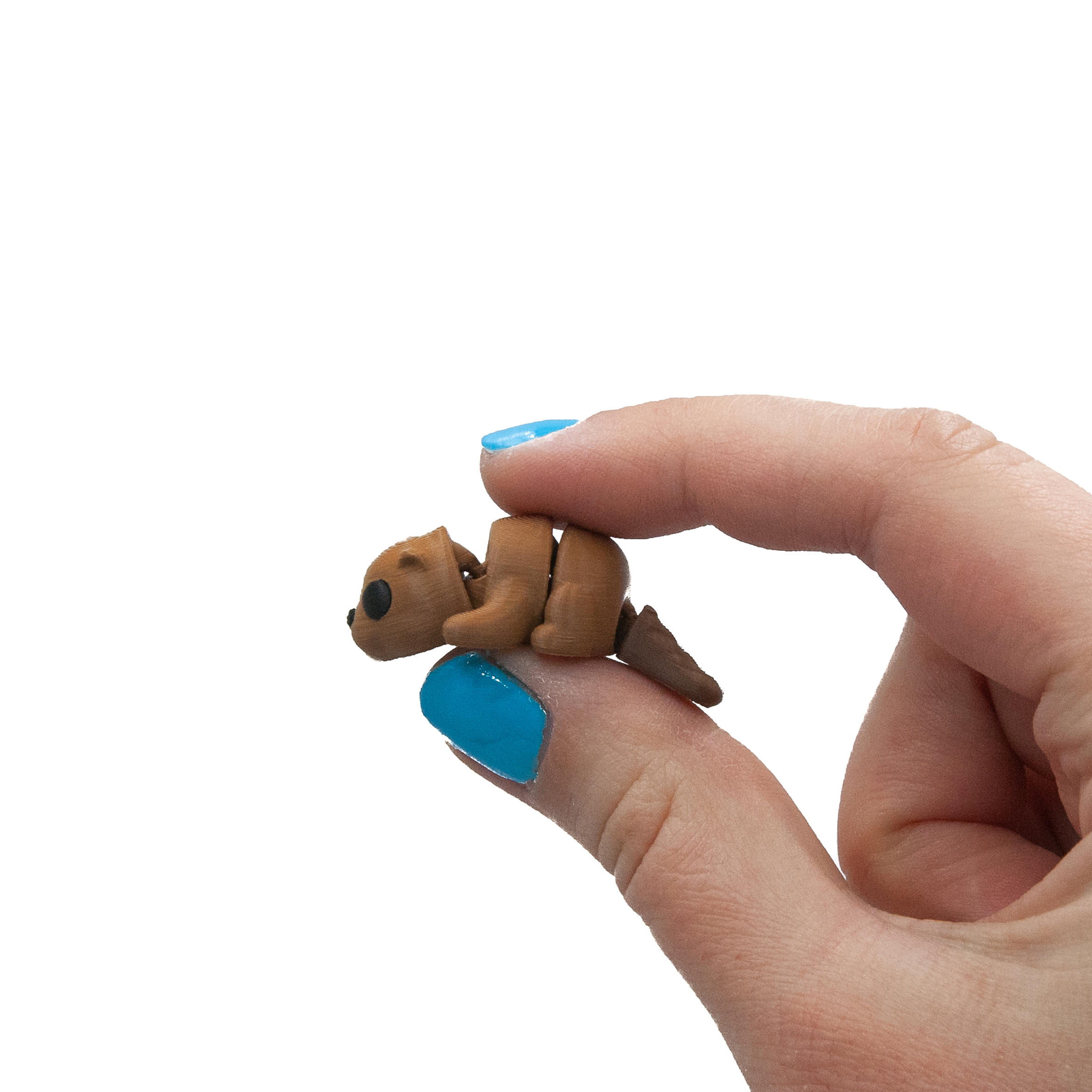 Bóbr Minis