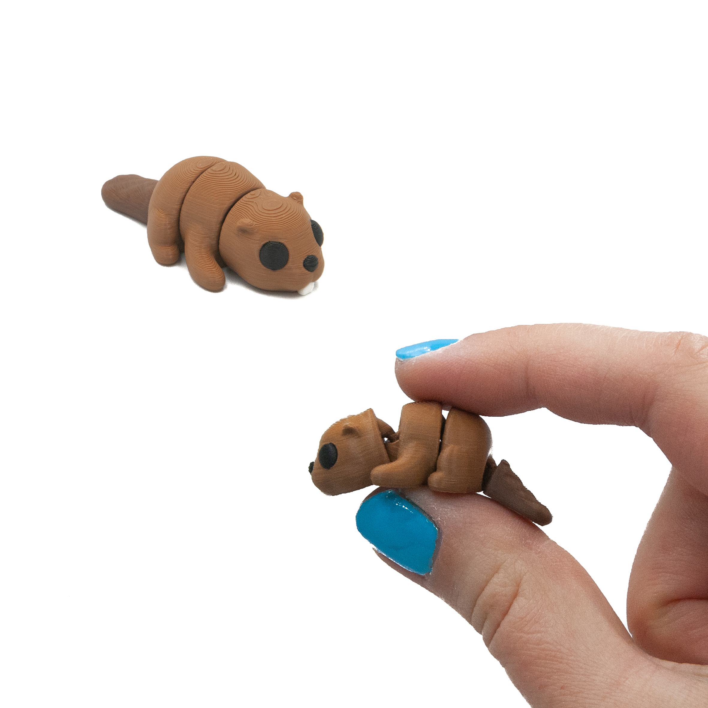 Bóbr Minis