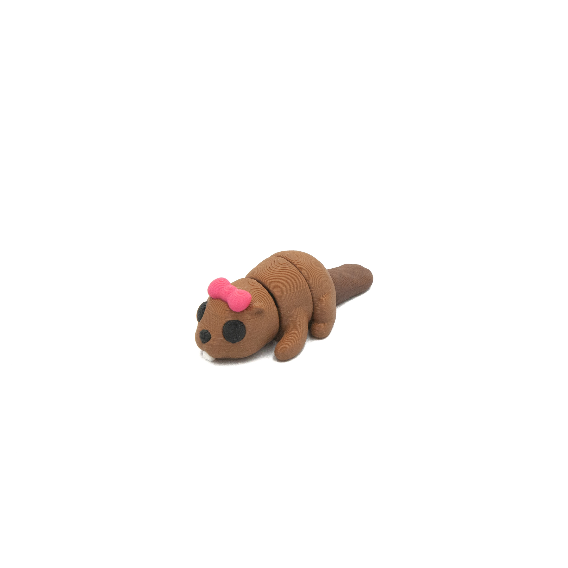 Bóbr Z Kokardką Minis