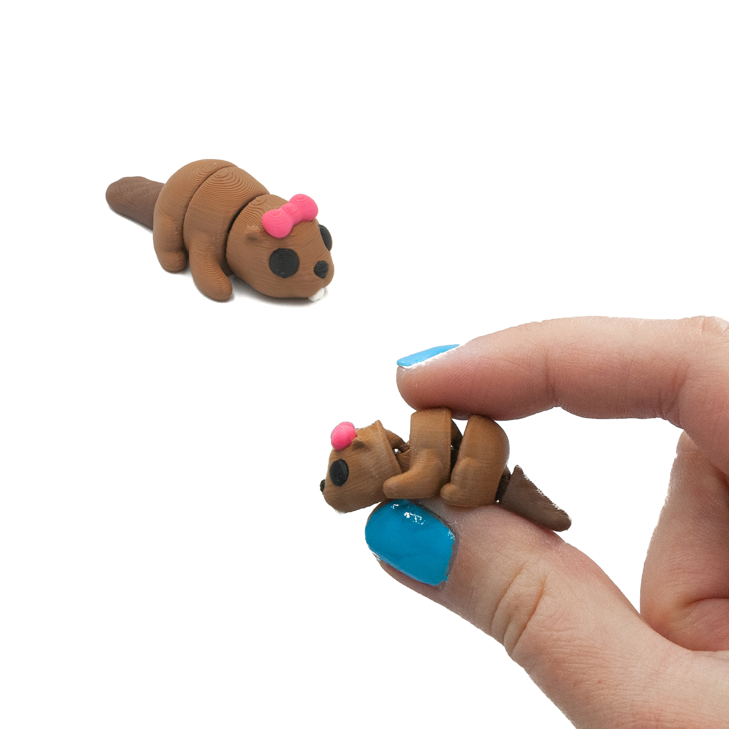 Bóbr Z Kokardką Minis