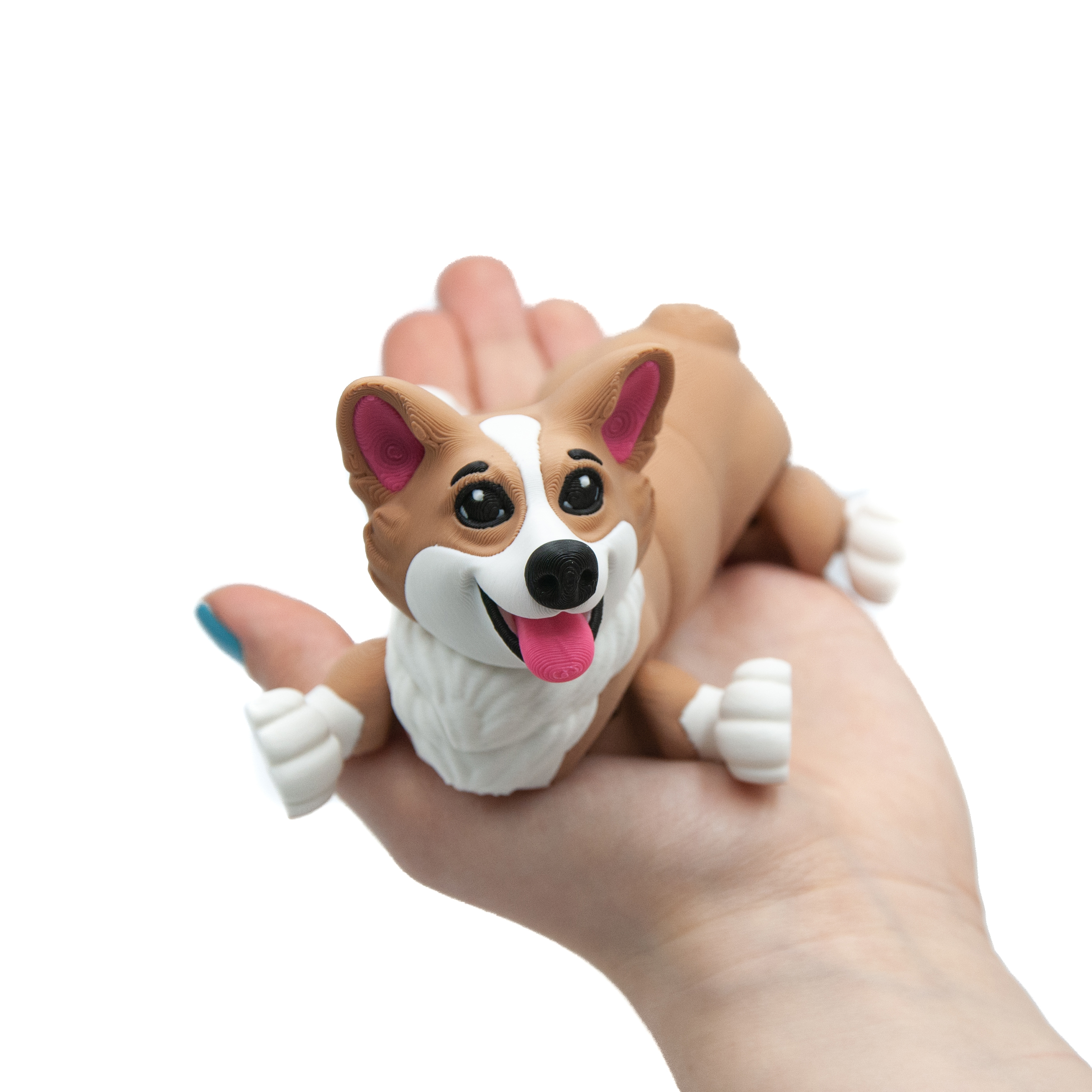 Corgi