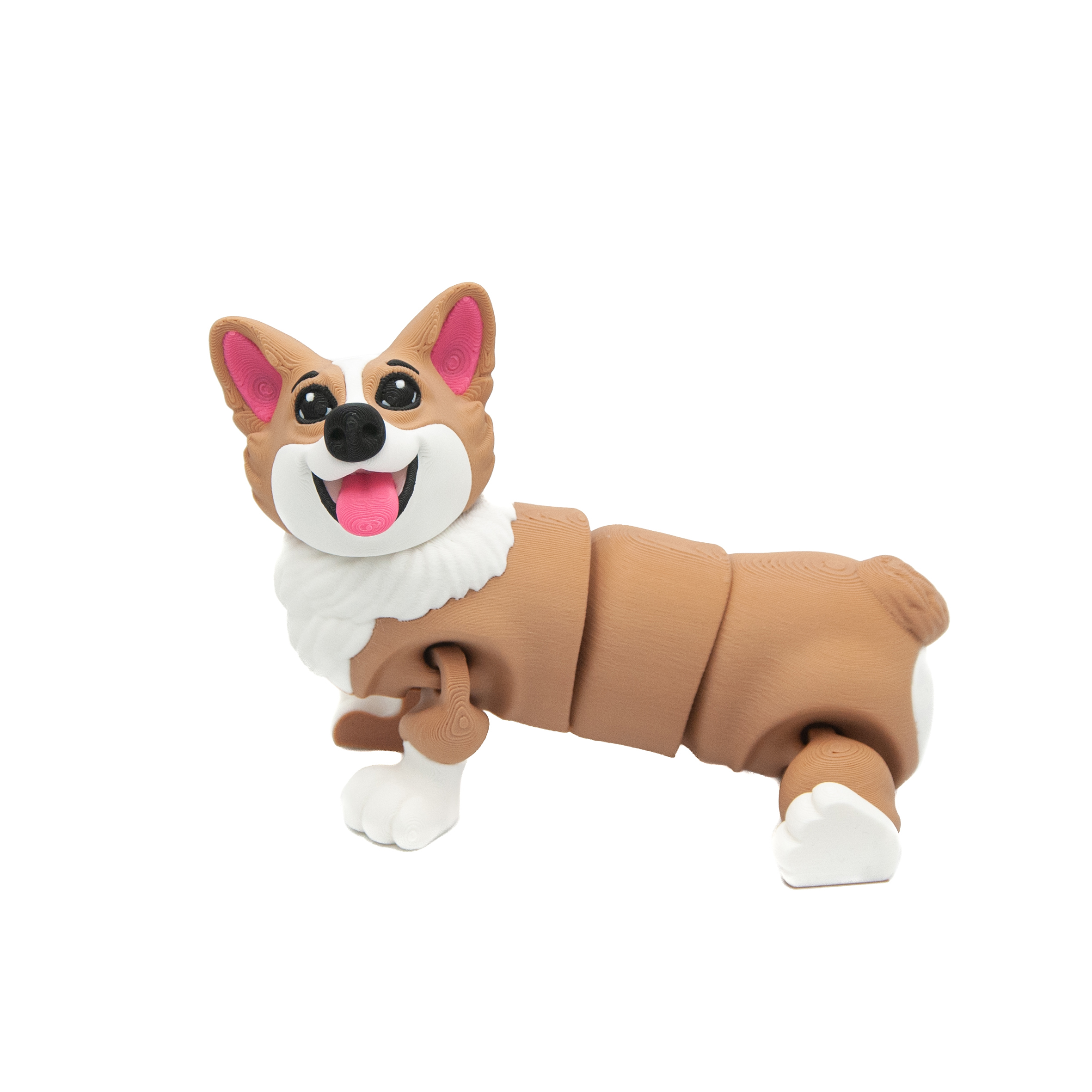 Corgi
