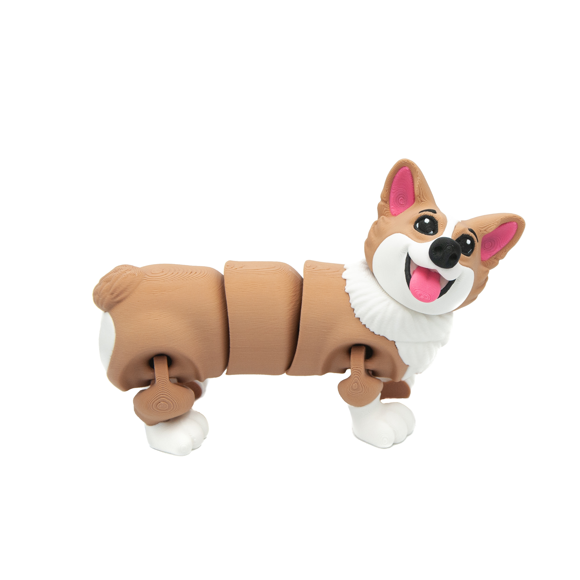 Corgi