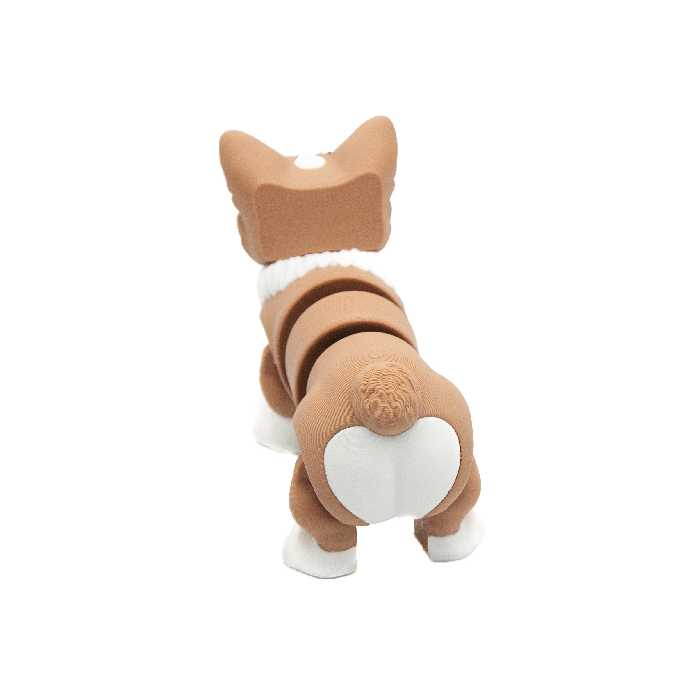 Corgi