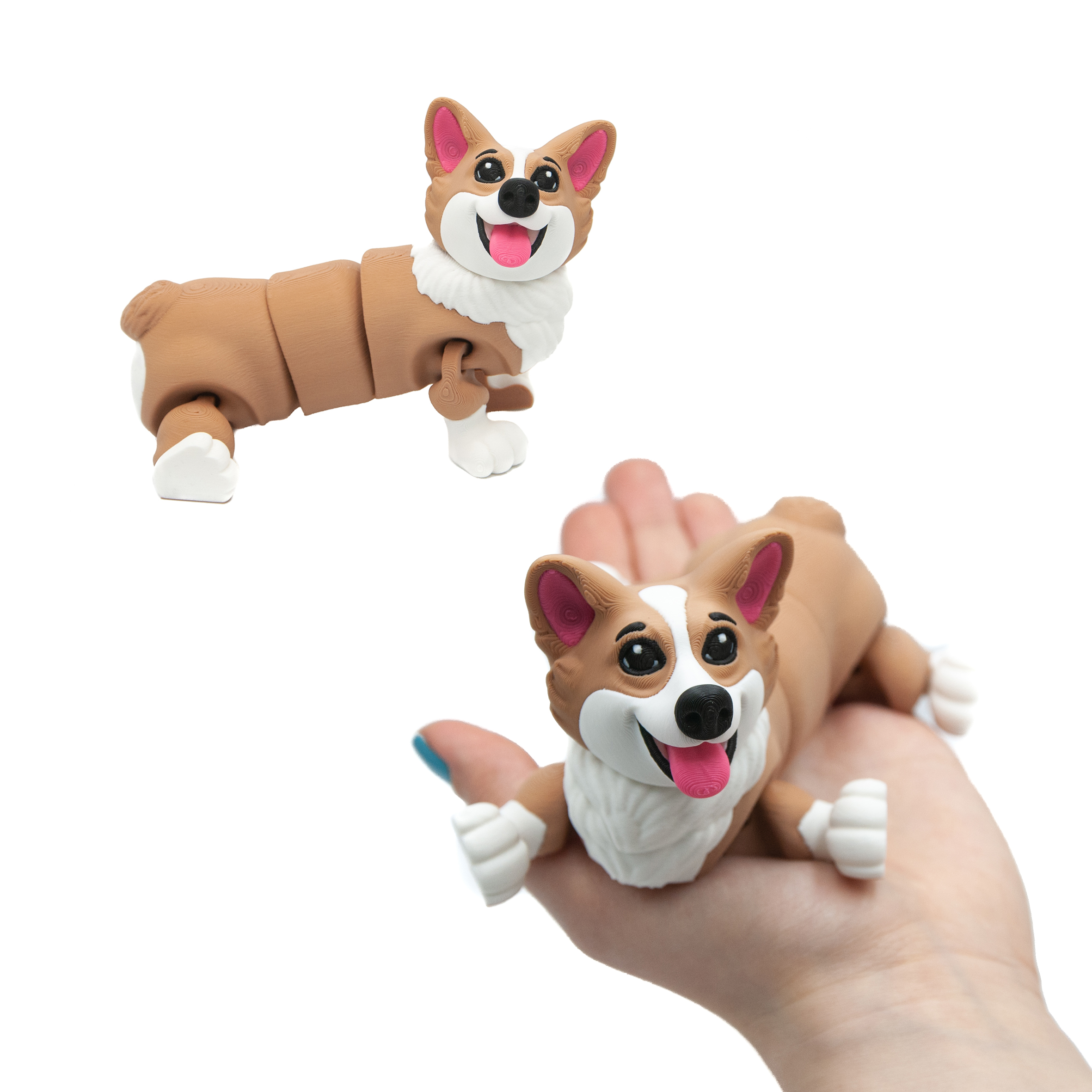 Corgi