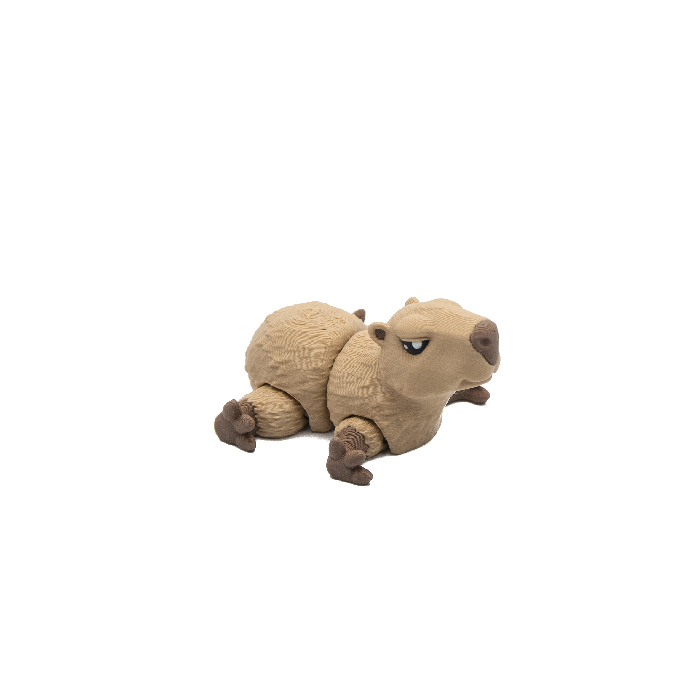 Baby Kapibara