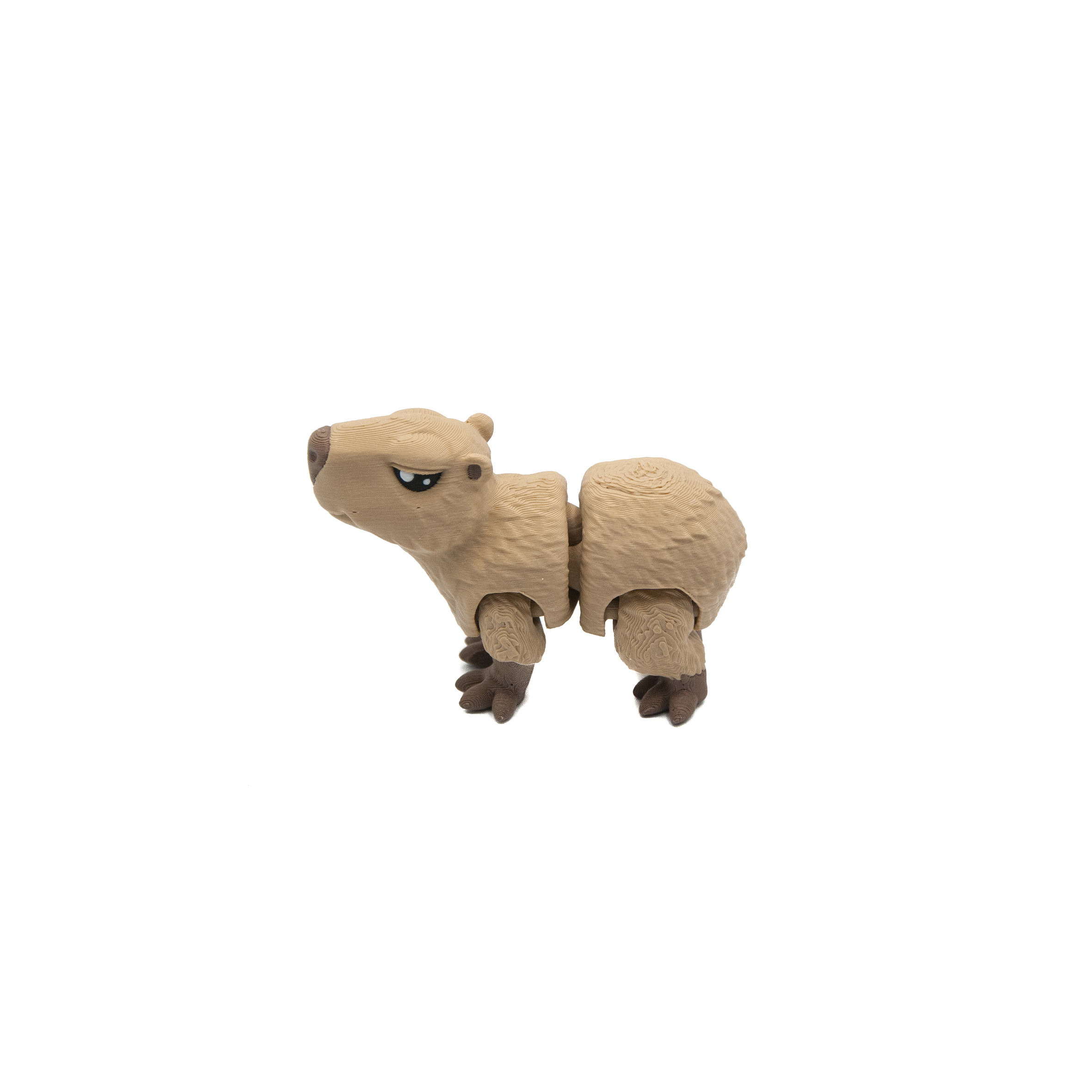 Baby Kapibara