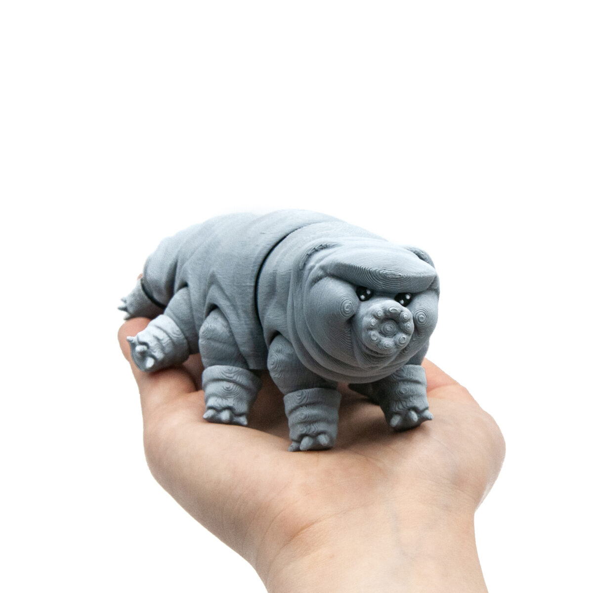 niesporczak1 Niesporczak