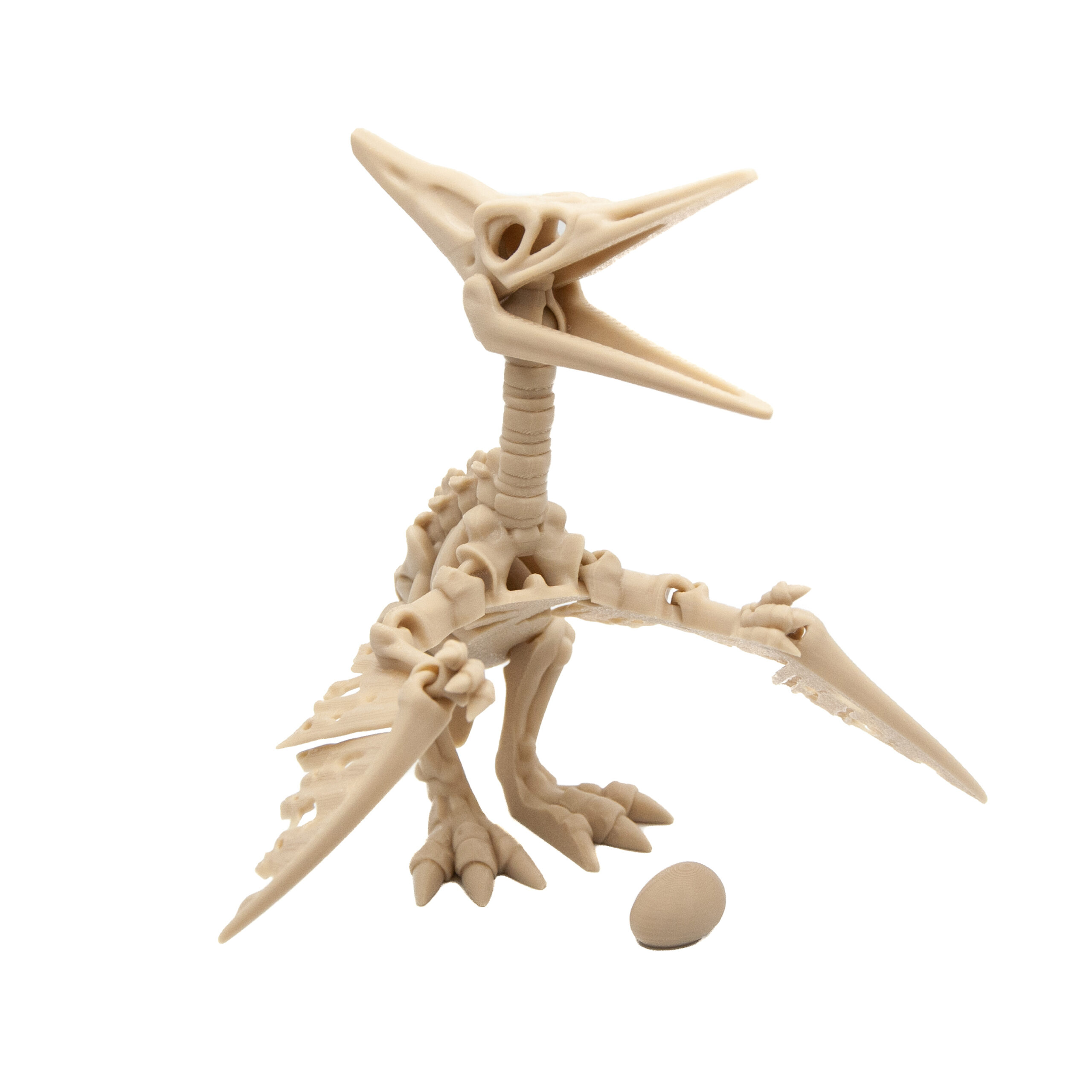 Pteranodon Szkielet