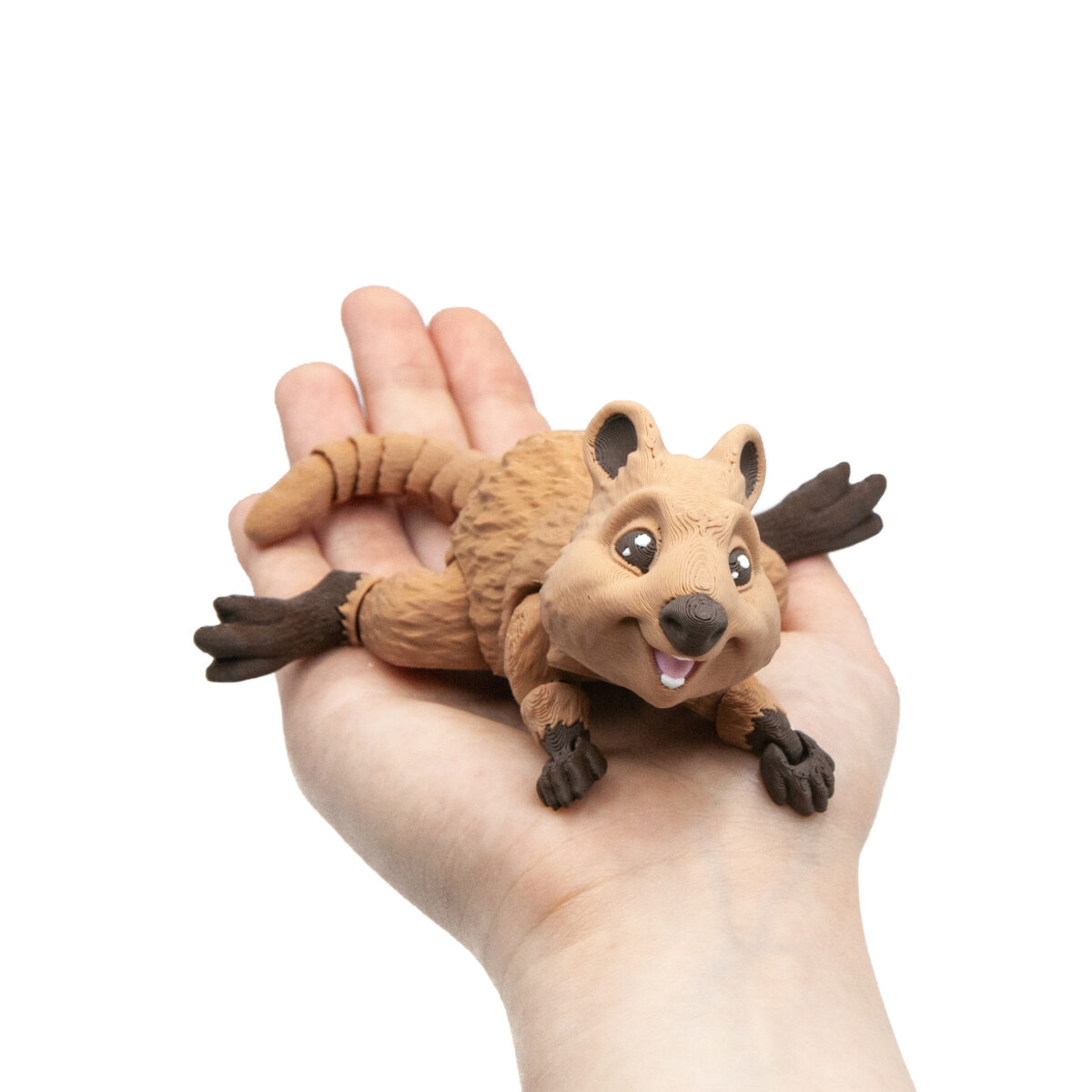 Quokka