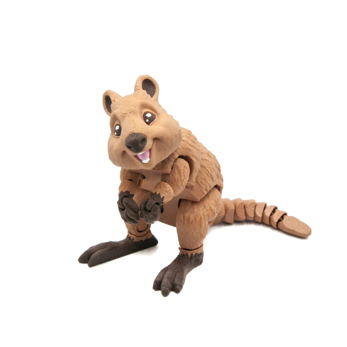 Quokka