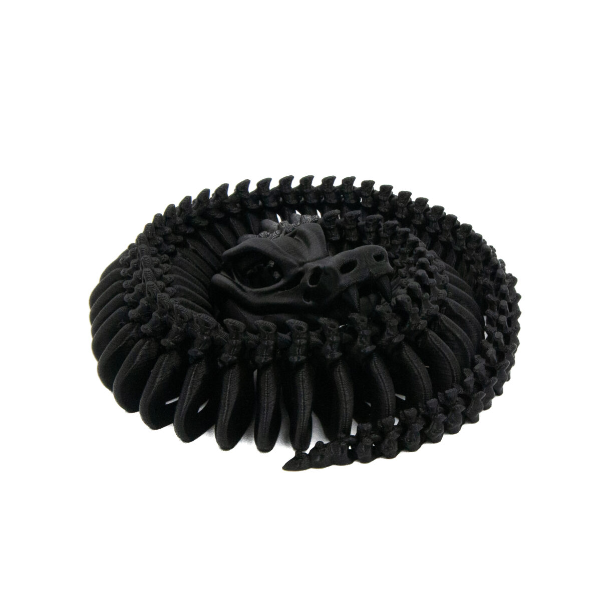57cm Czarny Wąż Szkielet