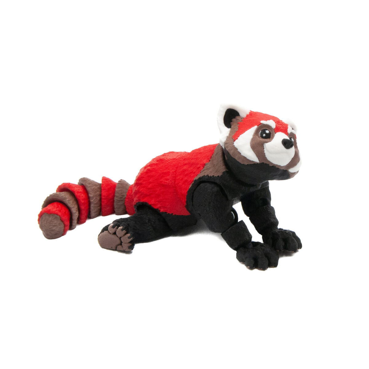 Duża Pandka Ruda