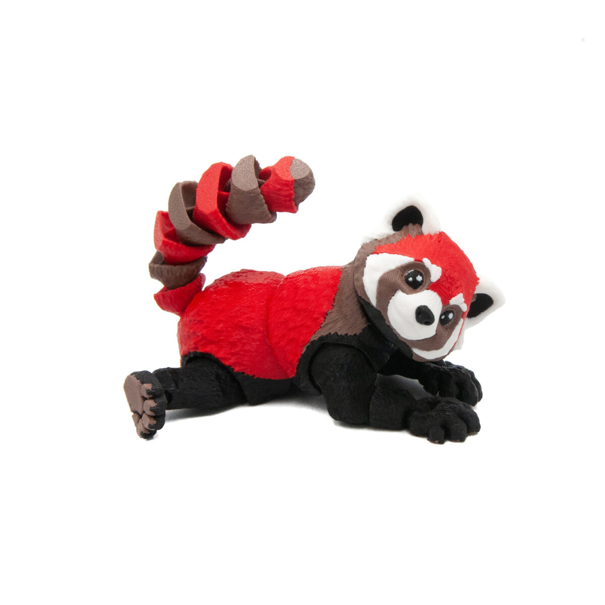 Duża Pandka Ruda
