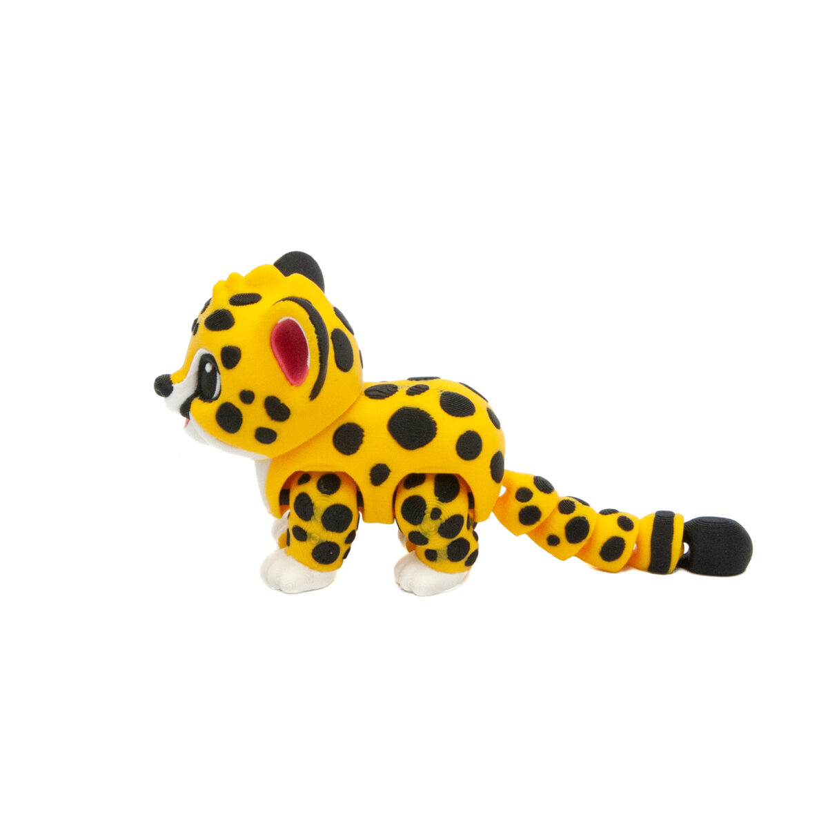 Baby Gepard