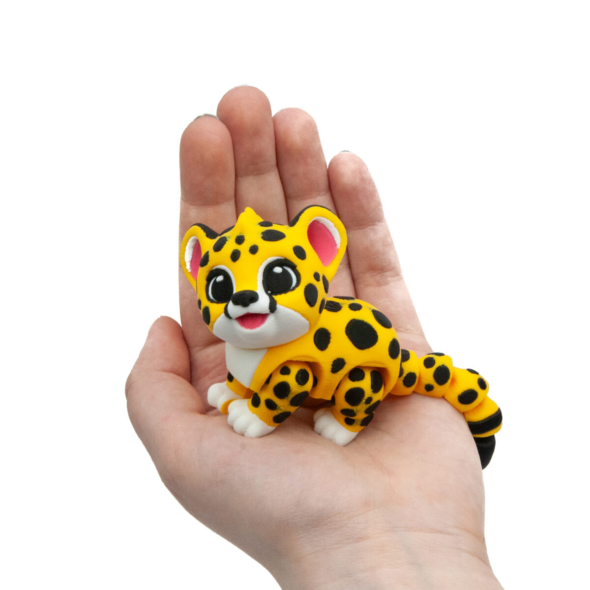 Baby Gepard