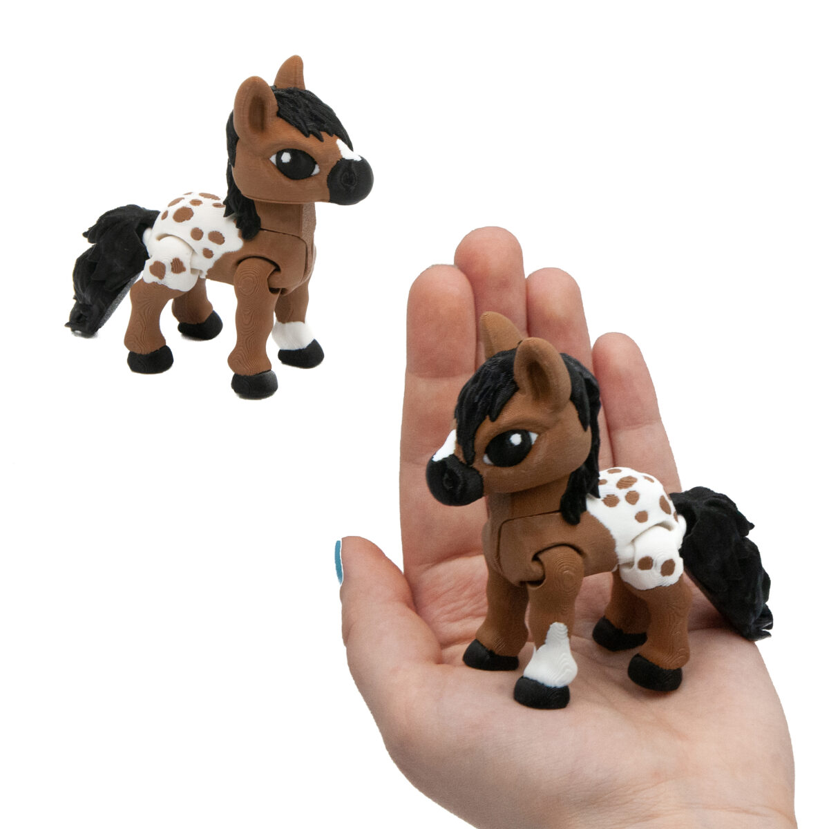 Konik Z Plamkami
