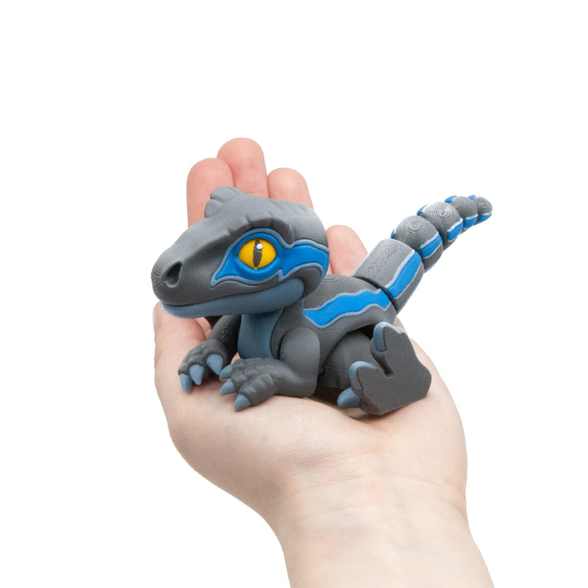 Raptor Blue