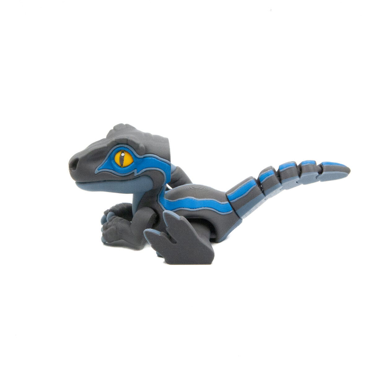 Raptor Blue